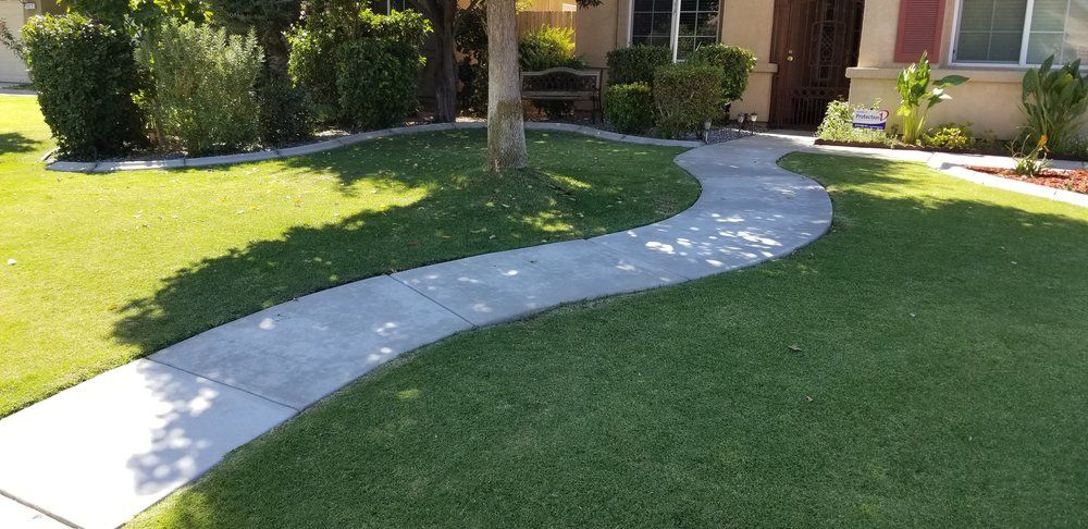 A concrete walkway going through a lush green lawn in front of a house.
