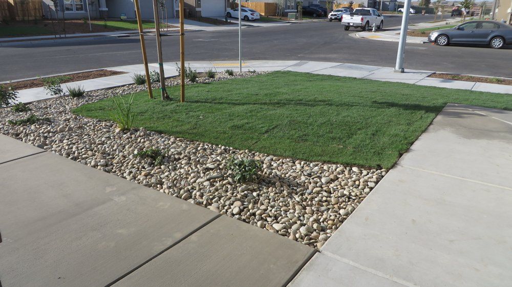 A lawn with a lot of grass and rocks next to a sidewalk.