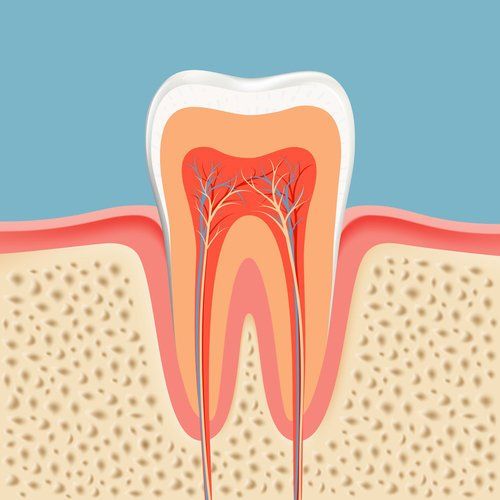 Endodonzia - Devitalizzazione e Ritrattamento - icona