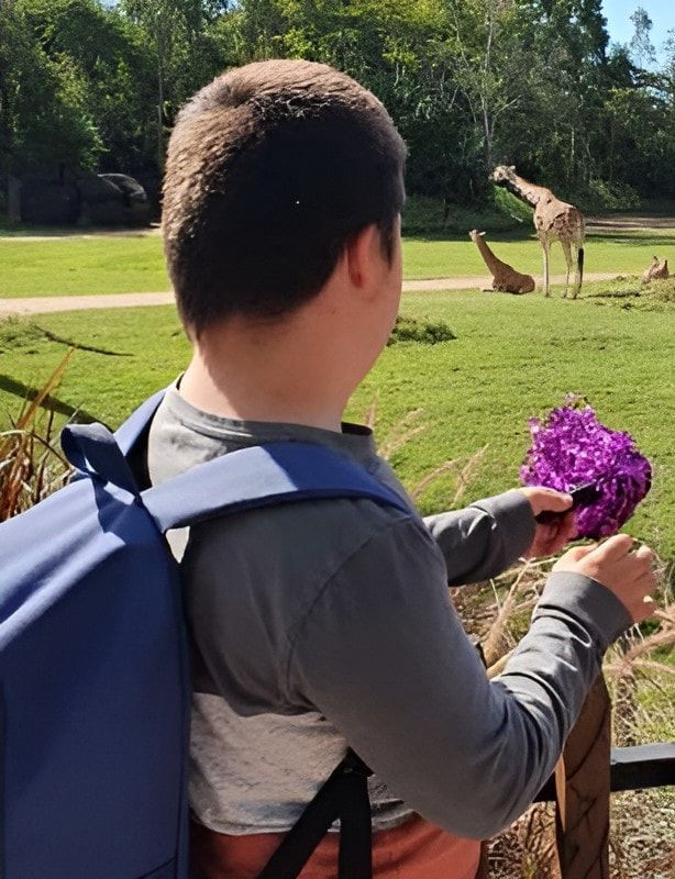 A Boy With A Backpack Is Holding A Purple Flower In Front Of A Giraffe — Tailored Support Services Pty Ltd In Maroochydore, QLD