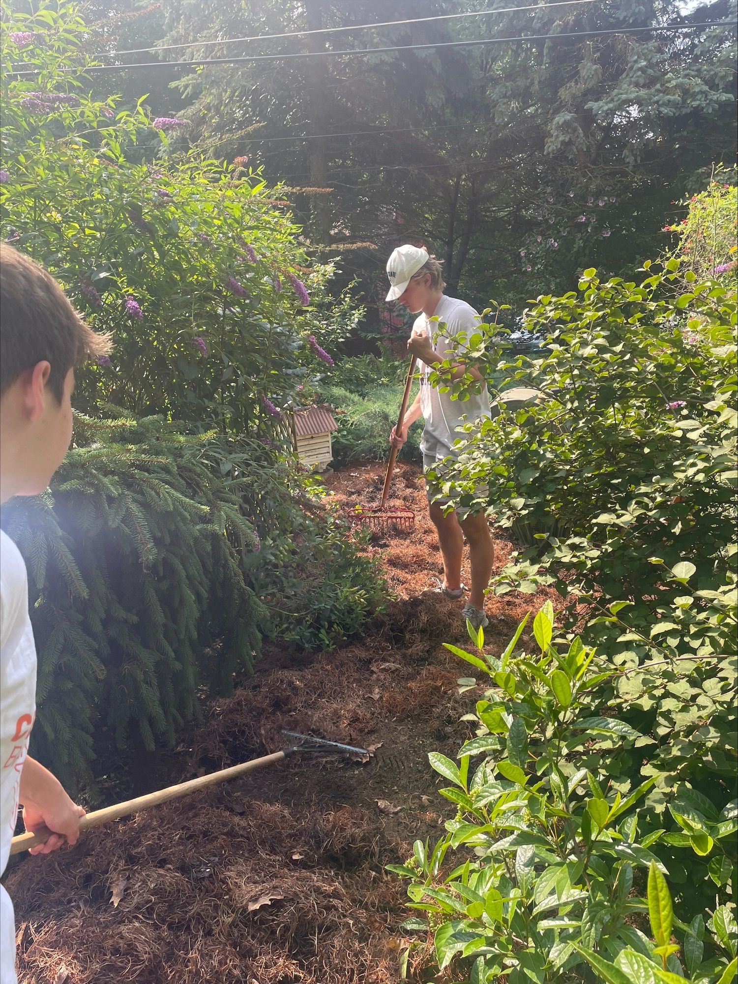 Two people are working in a garden with a rake and shovel