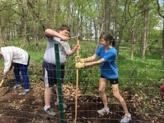 A group of people are working on a fence in the woods.