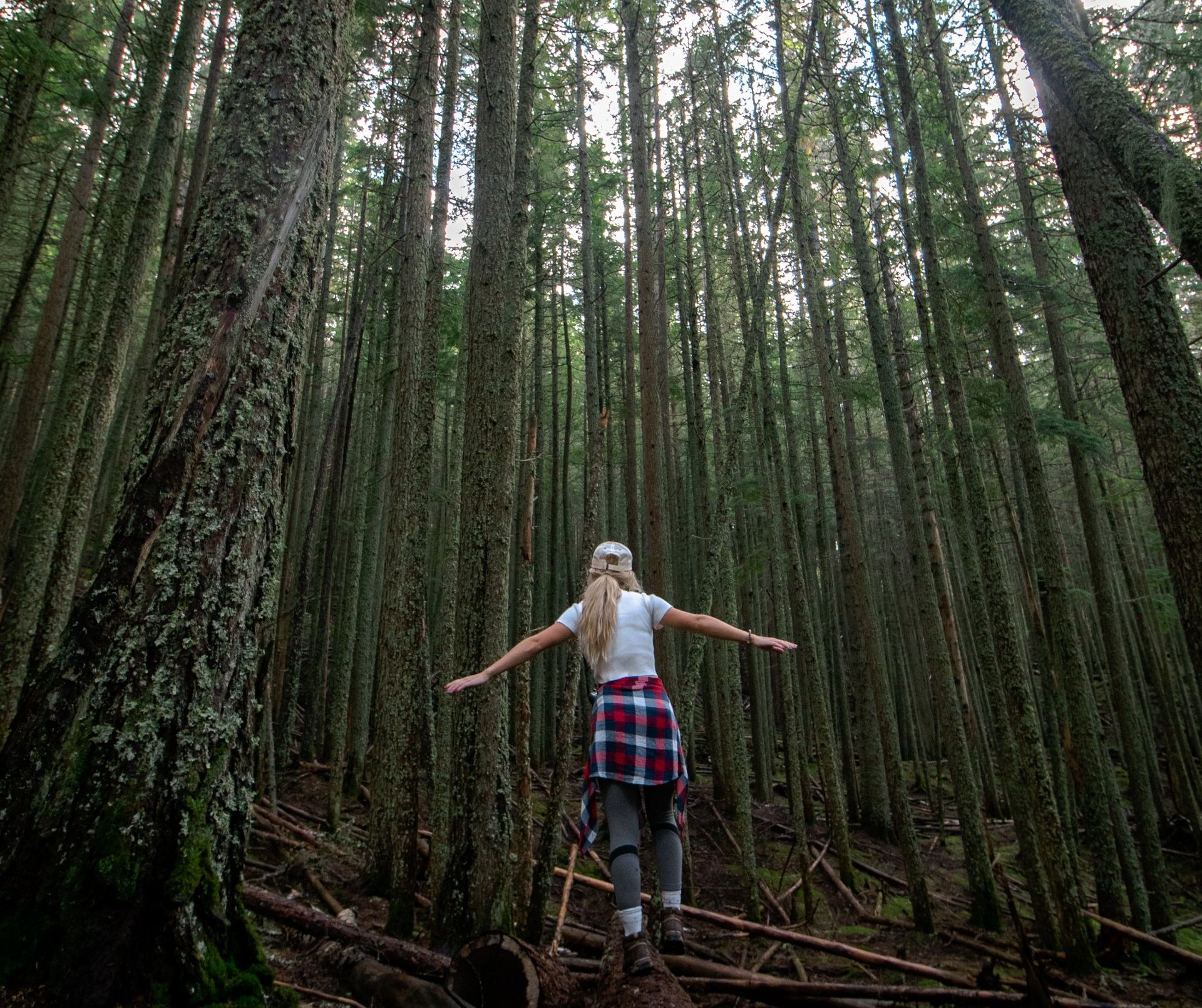A woman walking through a forest with her arms outstretched