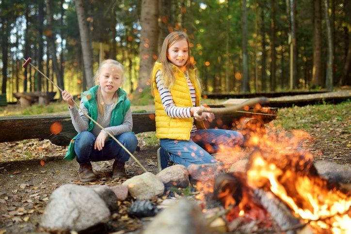 Cute young sisters roasting hotdogs on sticks at bonfire