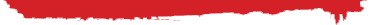 bottom red divider