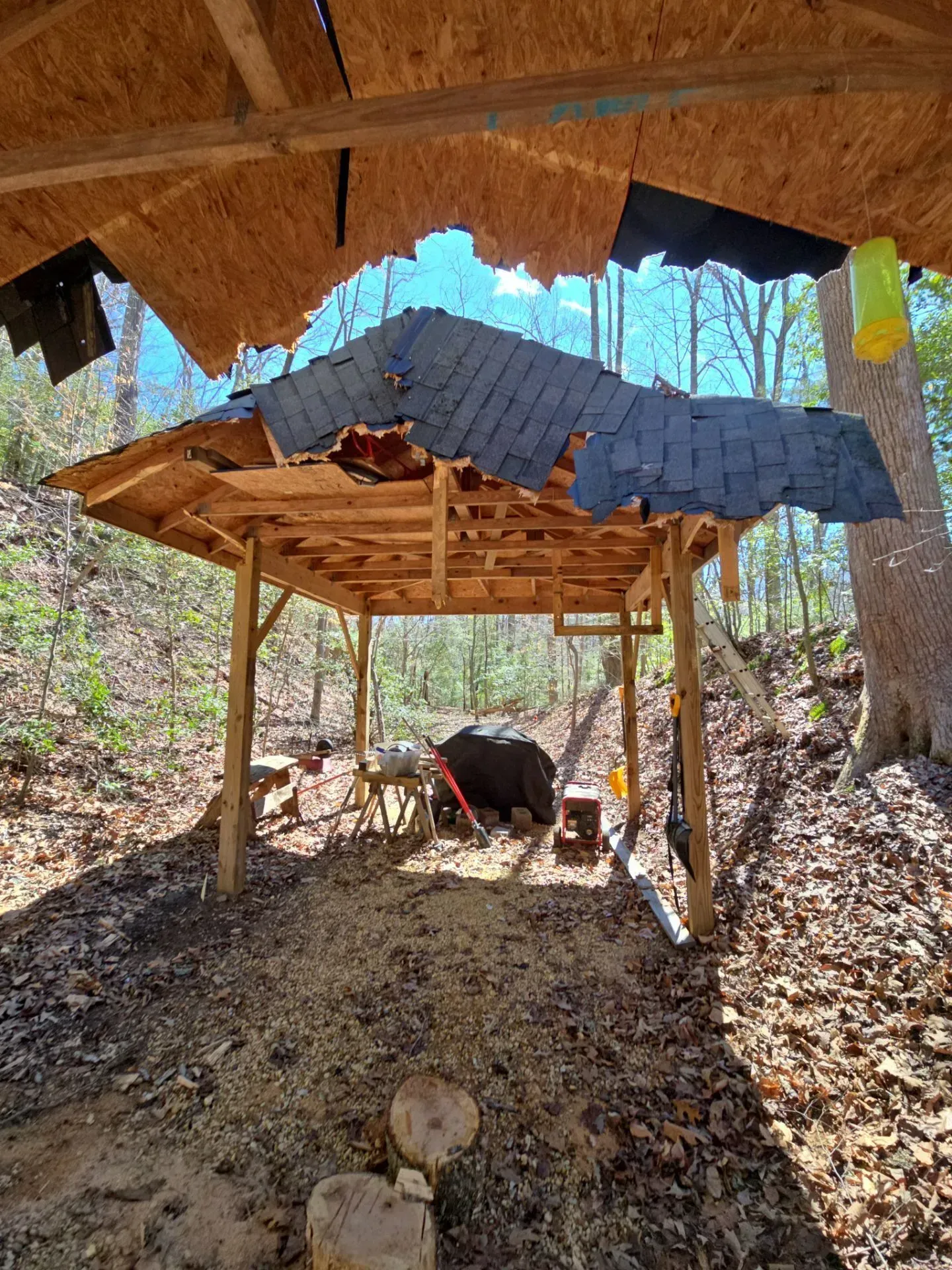 A rustic shelter with a damaged tarp roof over a black pig in a wooded hillside enclosure.