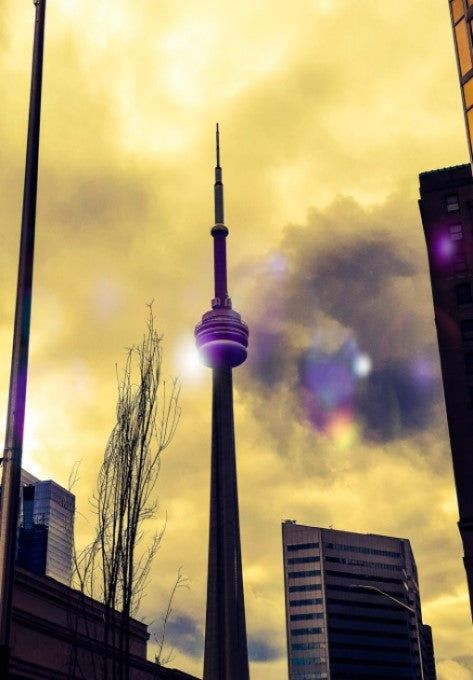 T.O. Love