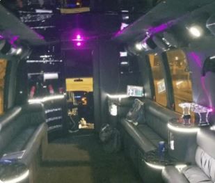 Party Bus 5