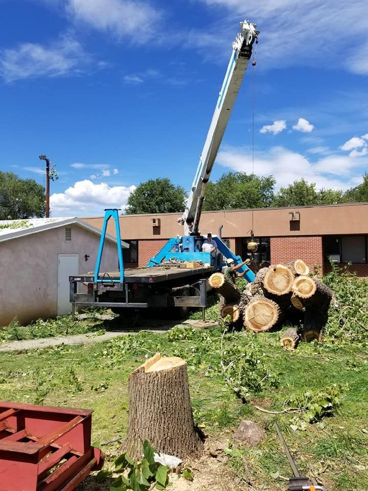 A crane is cutting down a tree in front of a house.