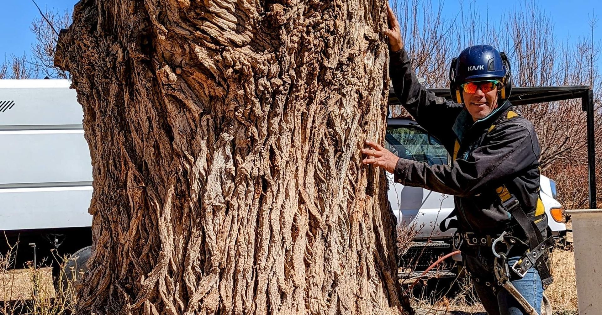 A man is standing next to a large tree trunk.