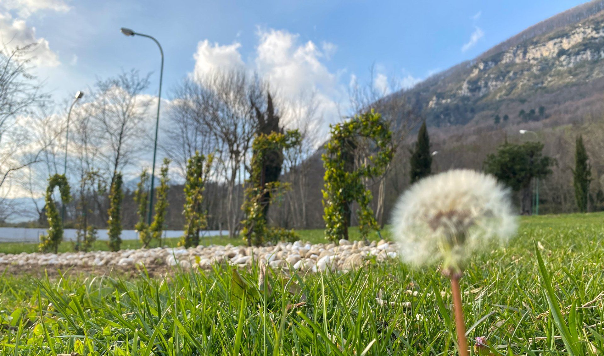 cura giardini