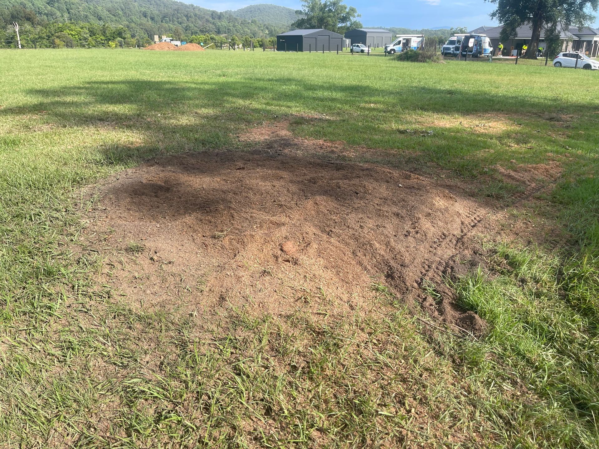 A Man is Cutting a Tree Stump With a Chainsaw — Auz Tree in Smiths Lake, NSW