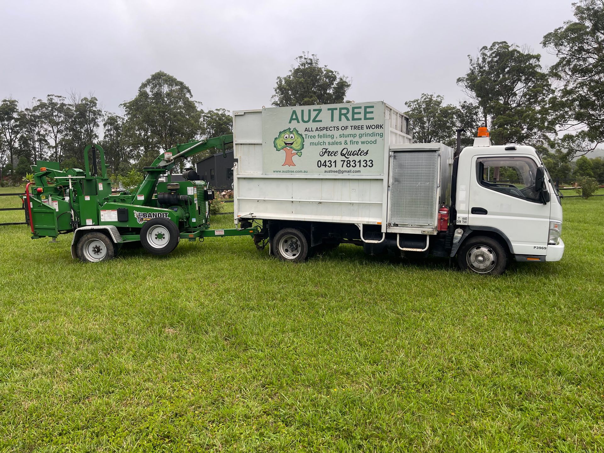 A Person is Cutting a Tree Branch With a Chainsaw — Auz Tree in Smiths Lake, NSW