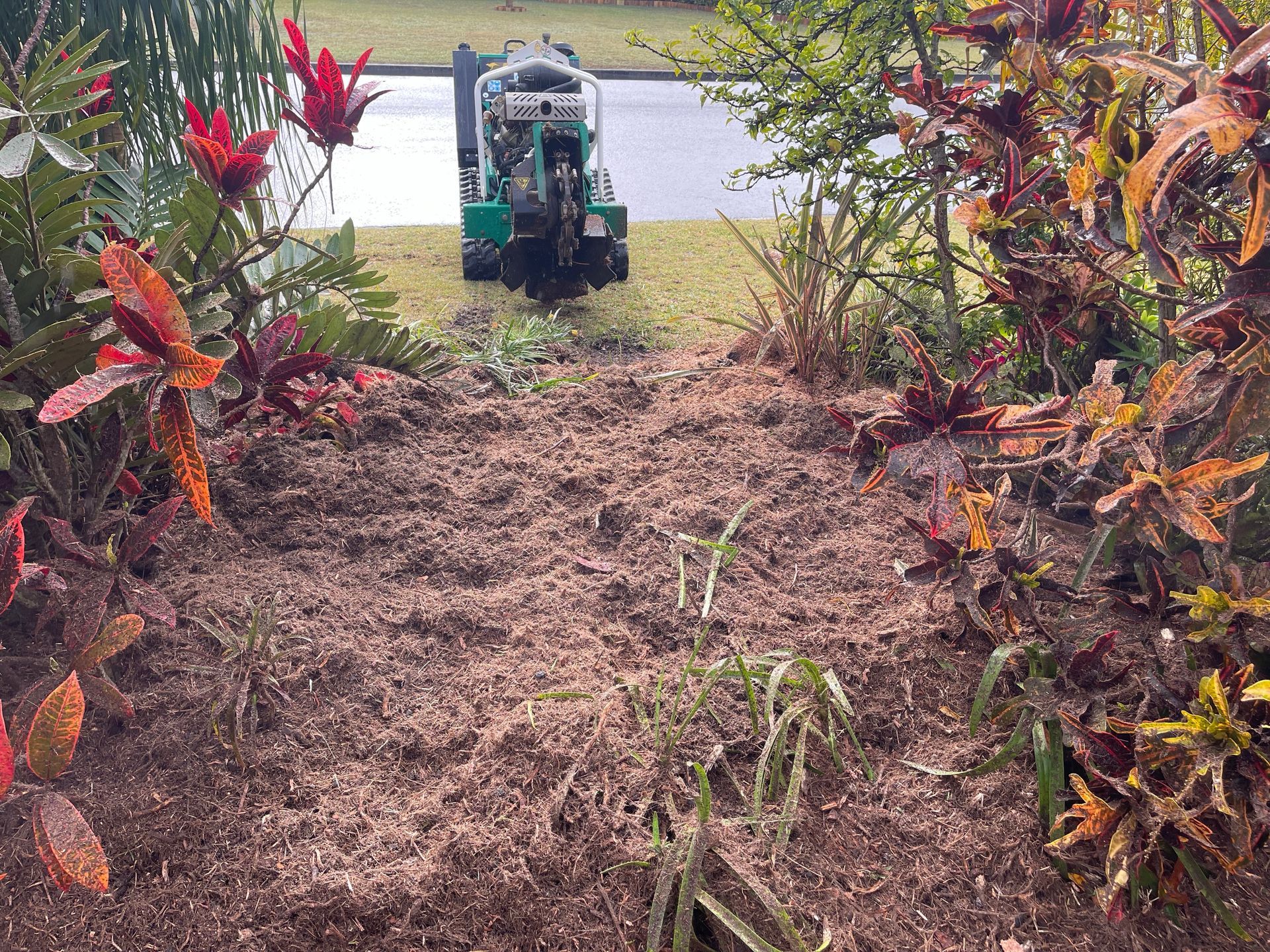 A Woman is Pouring Mulch Into a Pile of Rocks — Auz Tree in Hallidays Point, NSW
