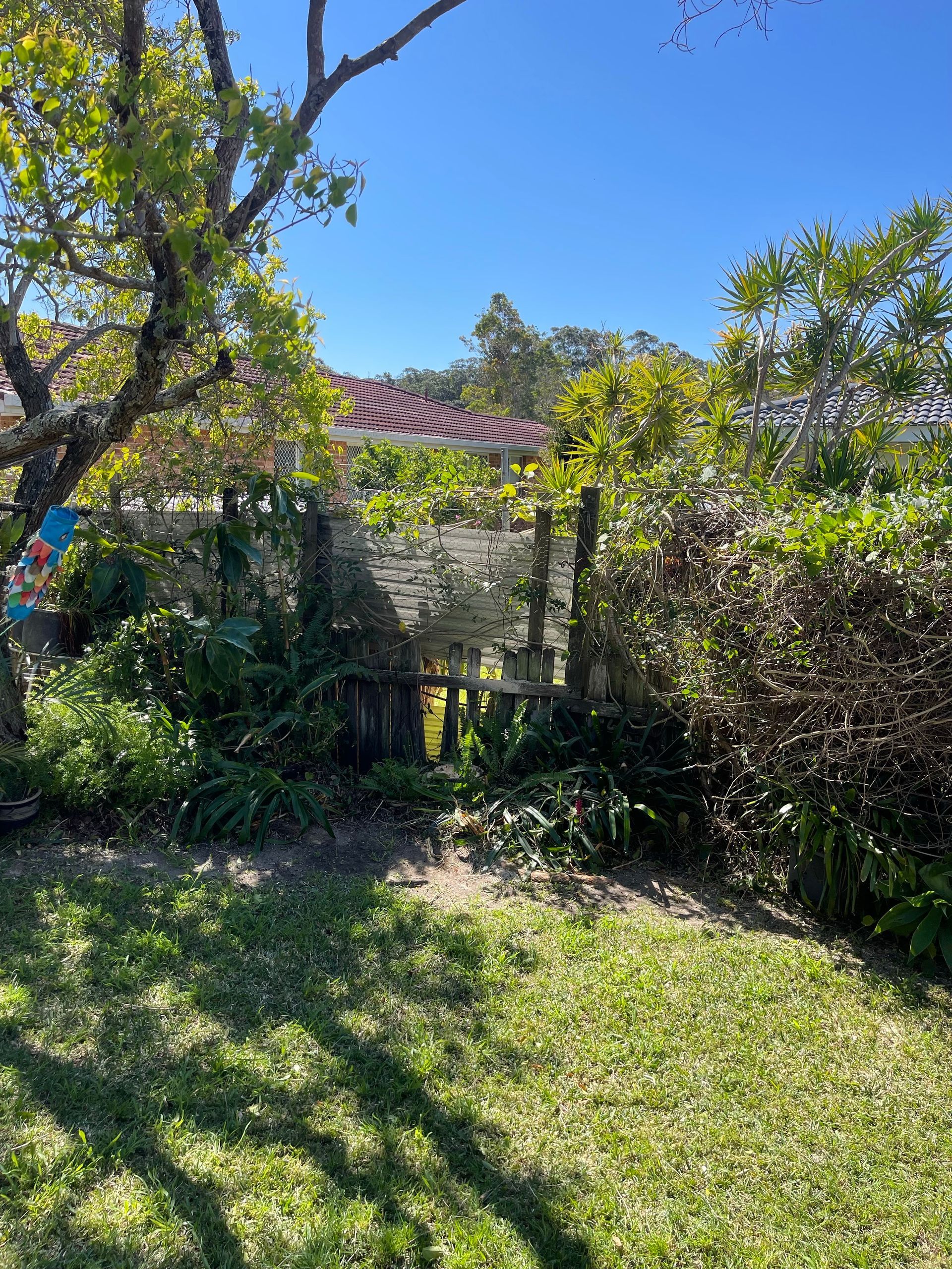 Orange wood chipper processing tree branches in a wooded area. — Auz Tree in Hallidays Point, NSW