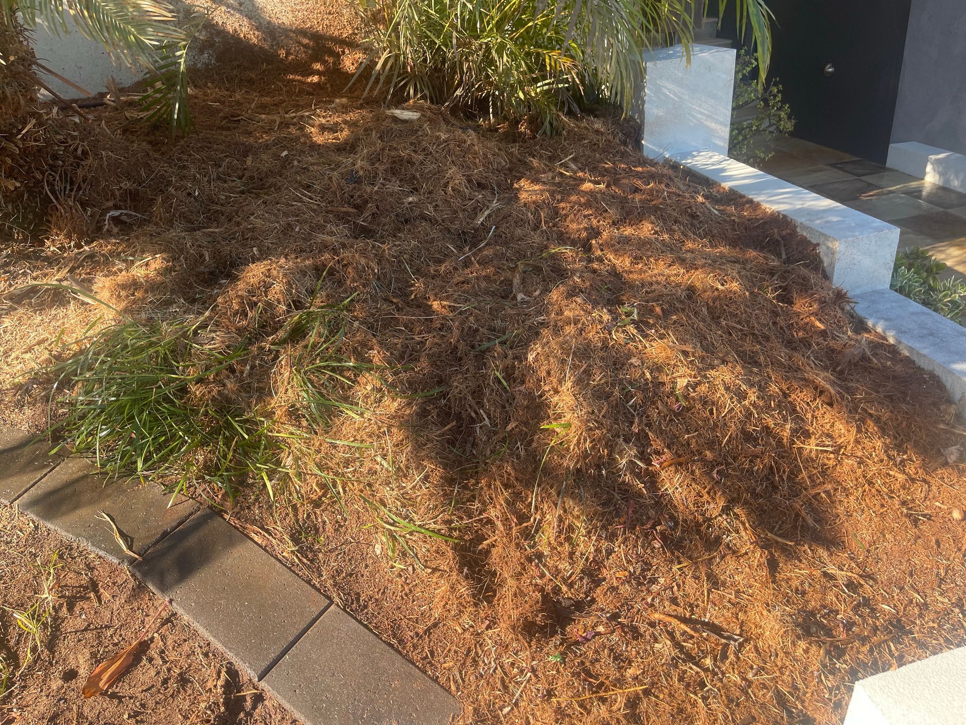 A Person Wearing Green Gloves is Holding a Pile of Mulch in Their Hands — Auz Tree in Hallidays Point, NSW