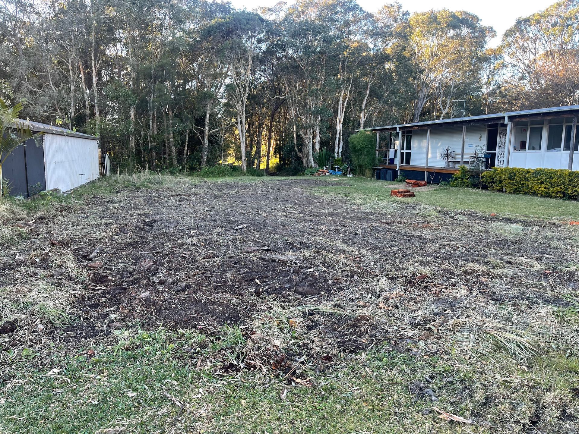 Cleared yard with a shed, house, and trees in the background. — Auz Tree in Hallidays Point, NSW