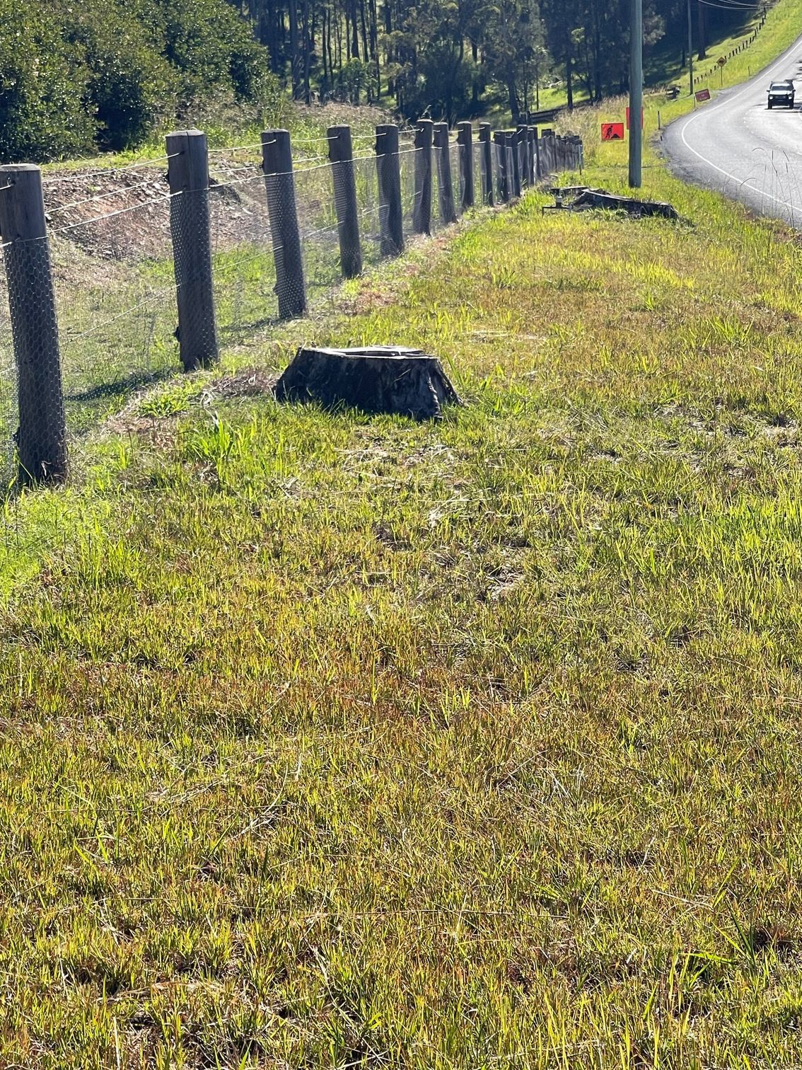 A Stump Grinder is Cutting a Tree Stump in a Yard — Auz Tree in Hallidays Point, NSW