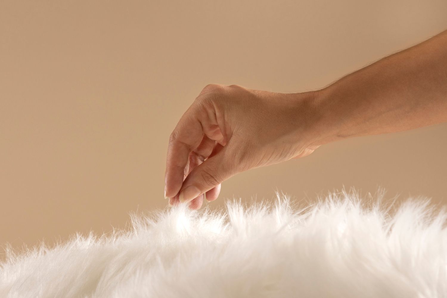 fur cleaning services