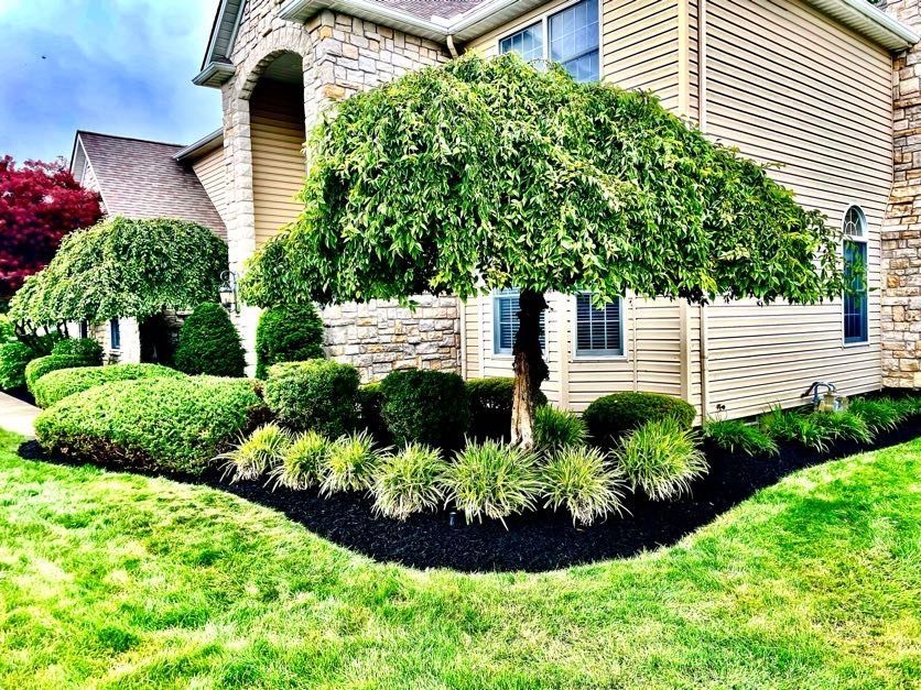 A large house with a lush green lawn and a tree in front of it.
