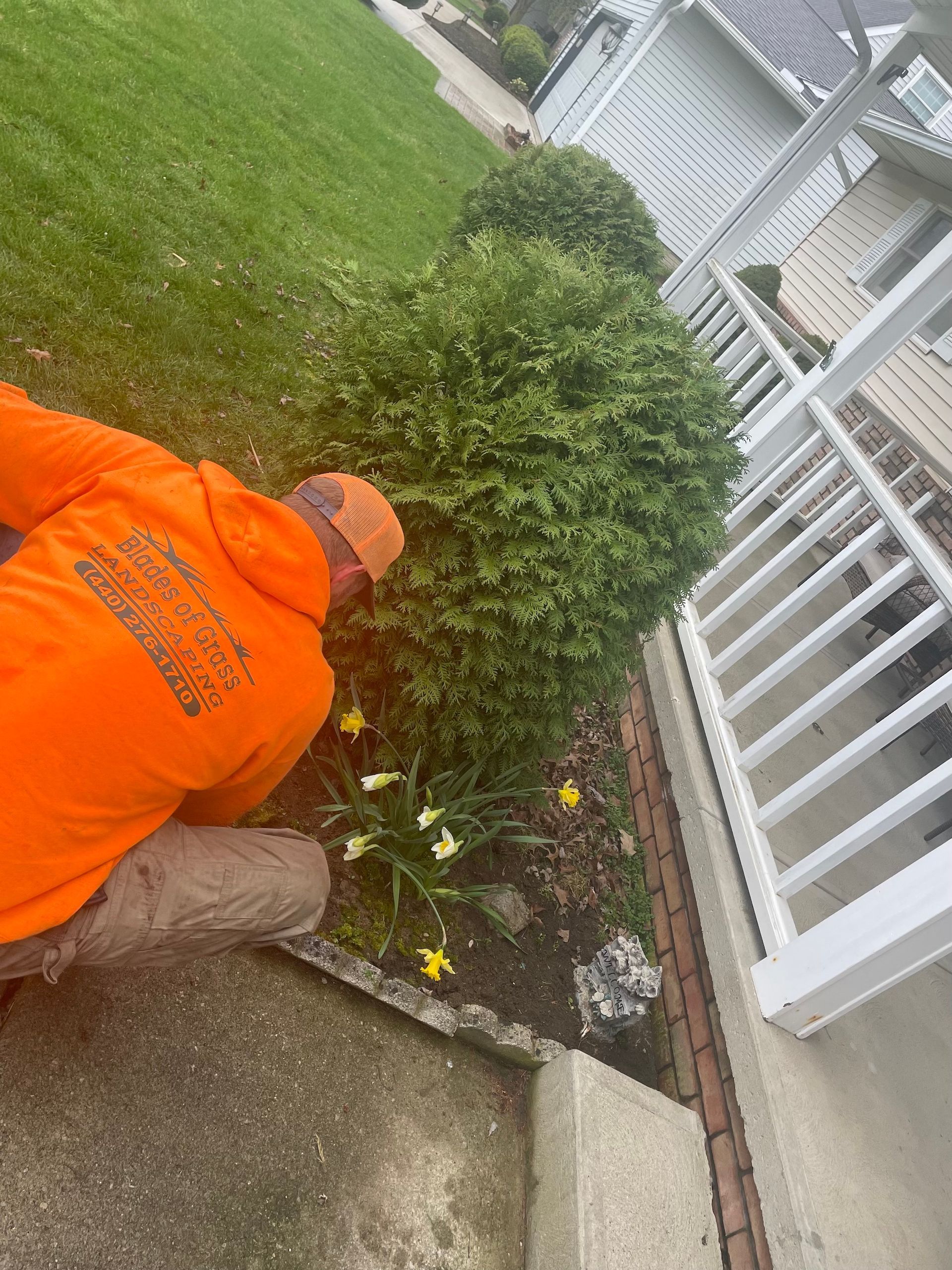 A man in an orange shirt is kneeling down in a garden.