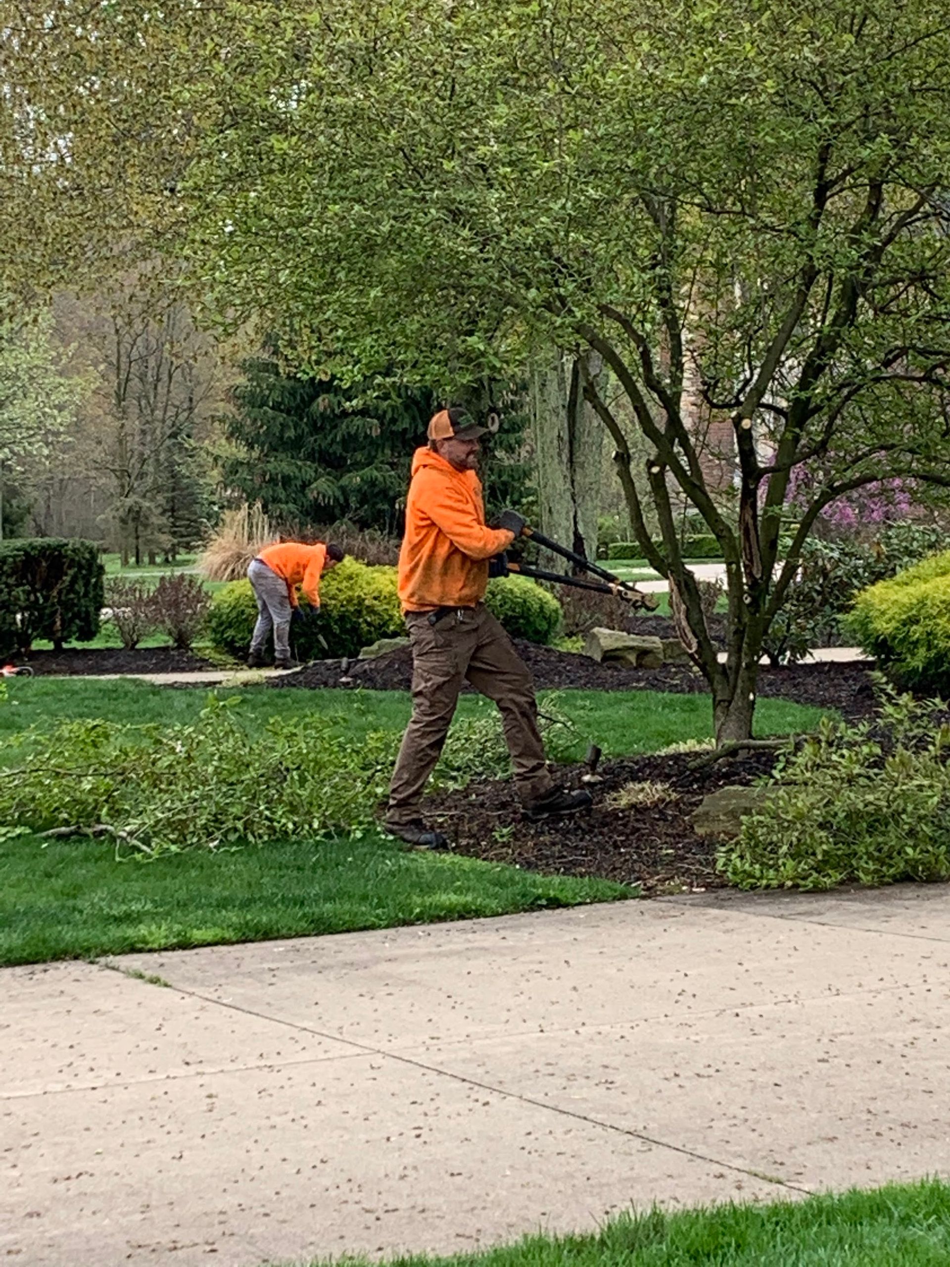 A man in an orange jacket is cutting a tree in a yard.