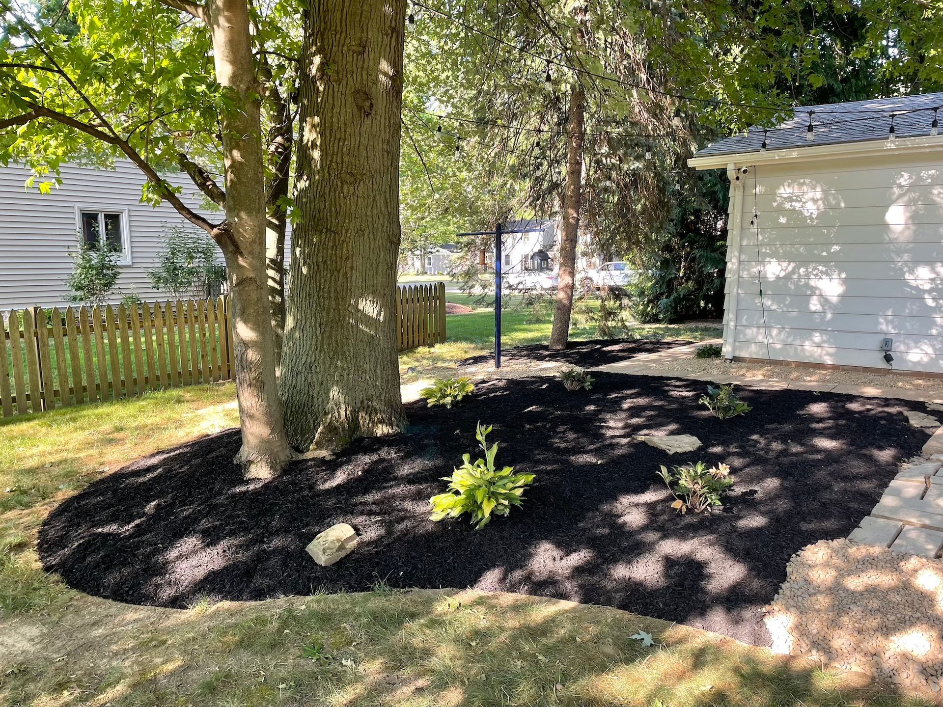 There is a large tree in the middle of the yard.
