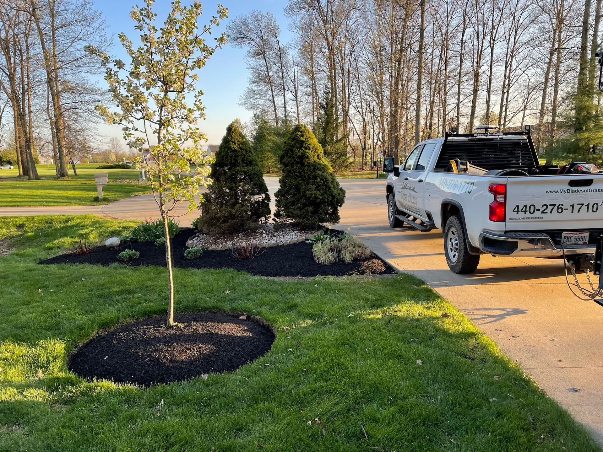 A truck is parked in a driveway next to a tree.