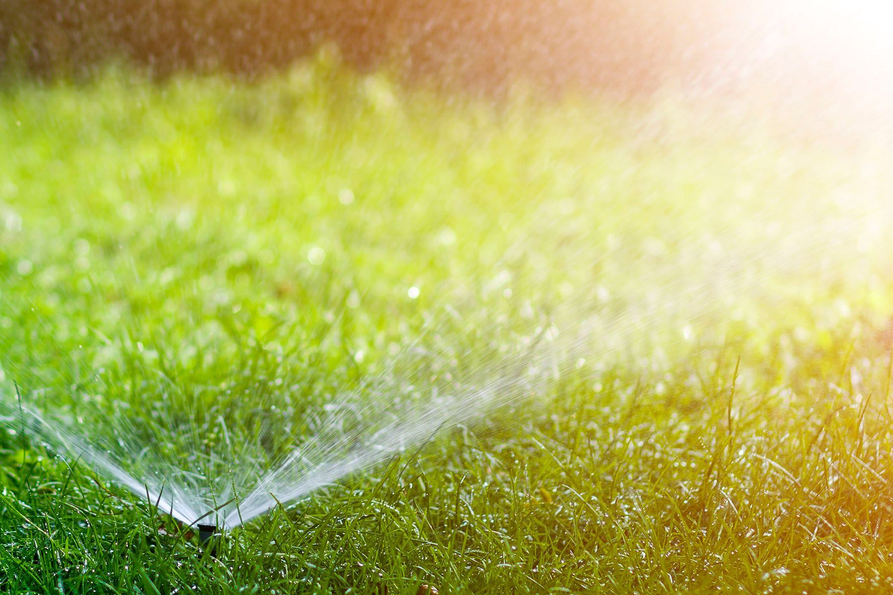 Sprinklers spraying water over a green lawn in bright sunlight