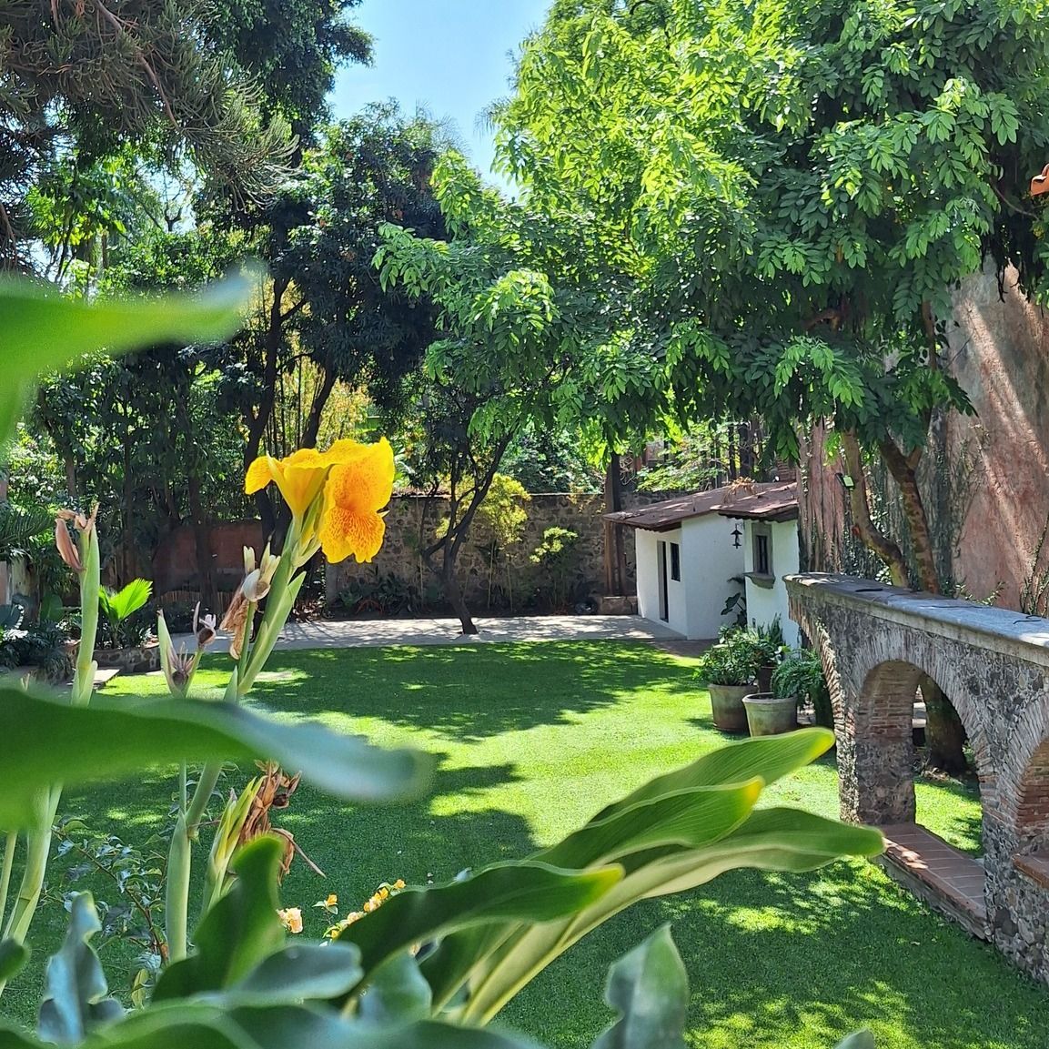 Un exuberante jardín verde con una flor amarilla en primer plano. Al fondo, un pequeño edificio blanco y un puente arqueado.