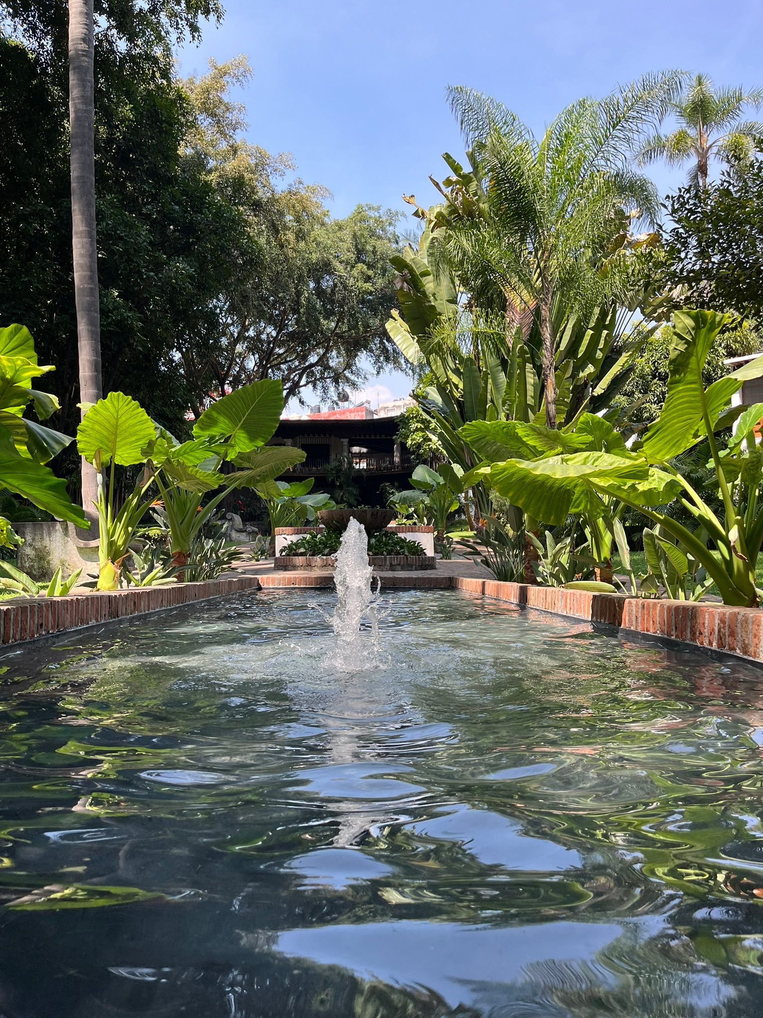 Fuente en una piscina rectangular rodeada de exuberante vegetación, bajo un cielo azul.