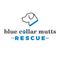 East Texas Blue Collar Mutts Rescue Logo