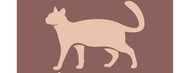 DeKattenoppasser Preventie & Welzijnsadvies