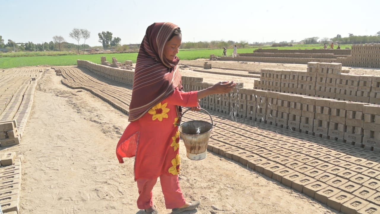 Woman in red pouring water on bricks in a field.