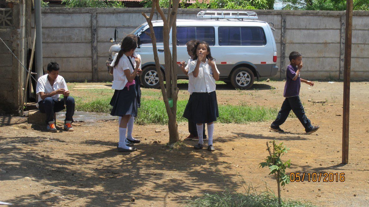 Children in school uniforms near a tree and a van.