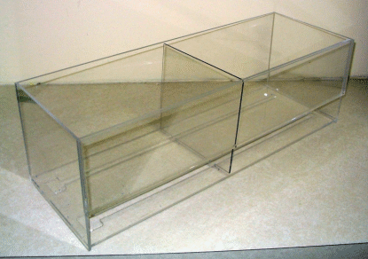 Transparent acrylic display case with two slanted compartments on a white surface