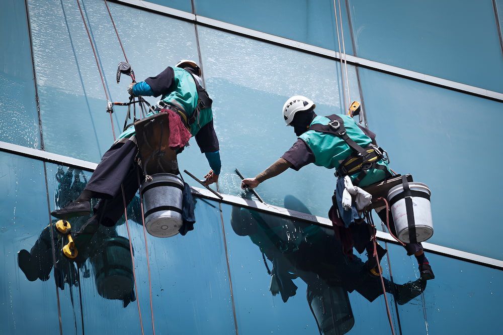 Two Window Washers in Harnesses Clean the Exterior of a Tall Glass Building — Crystal Clear In Glen Innes, NSW