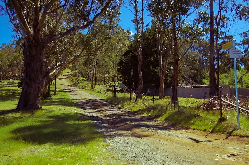 A Dirt Road Going Through A Grassy Area With Trees On Both Sides — Crystal Clear In Uralla, NSW