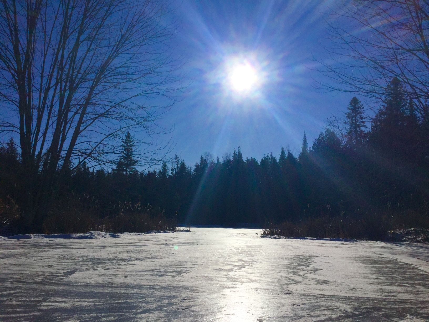 The sun is shining brightly over a frozen lake surrounded by trees.