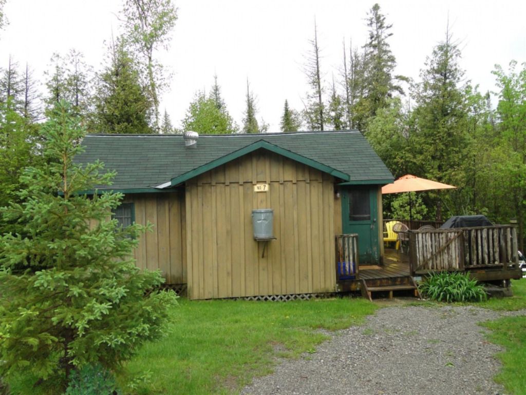 A small house with a green roof is surrounded by trees