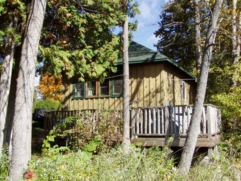 A small house with a deck surrounded by trees