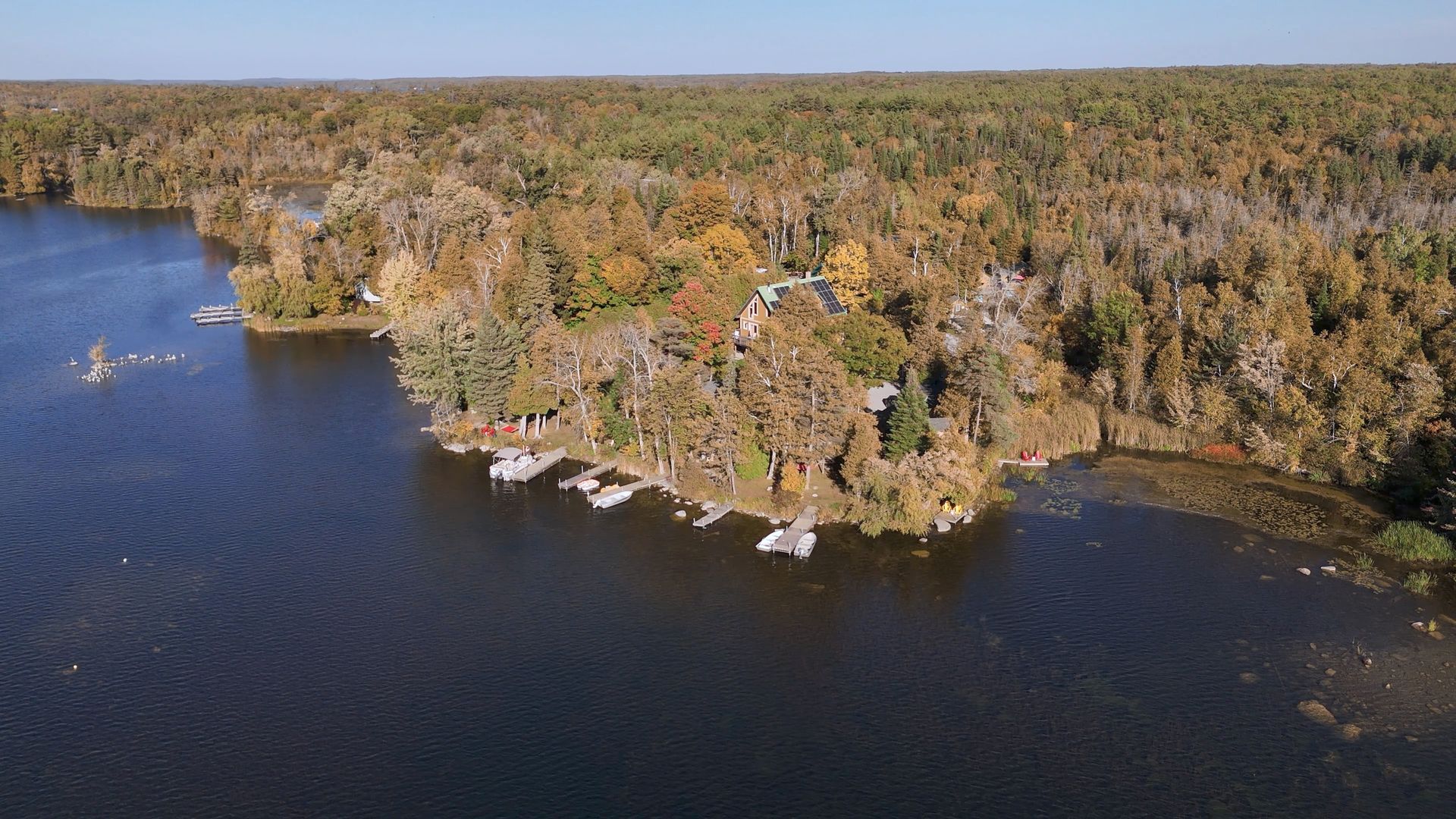 Aerial view of a lake shoreline with docks, surrounded by trees.