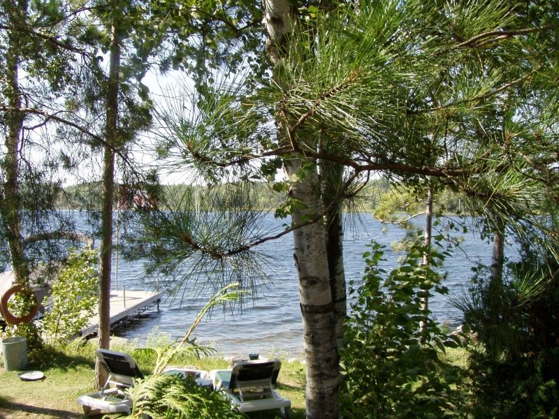 A view of a lake through the trees with a dock in the background
