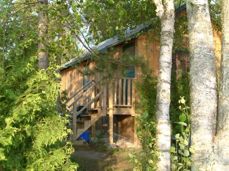 A small wooden house with stairs surrounded by trees