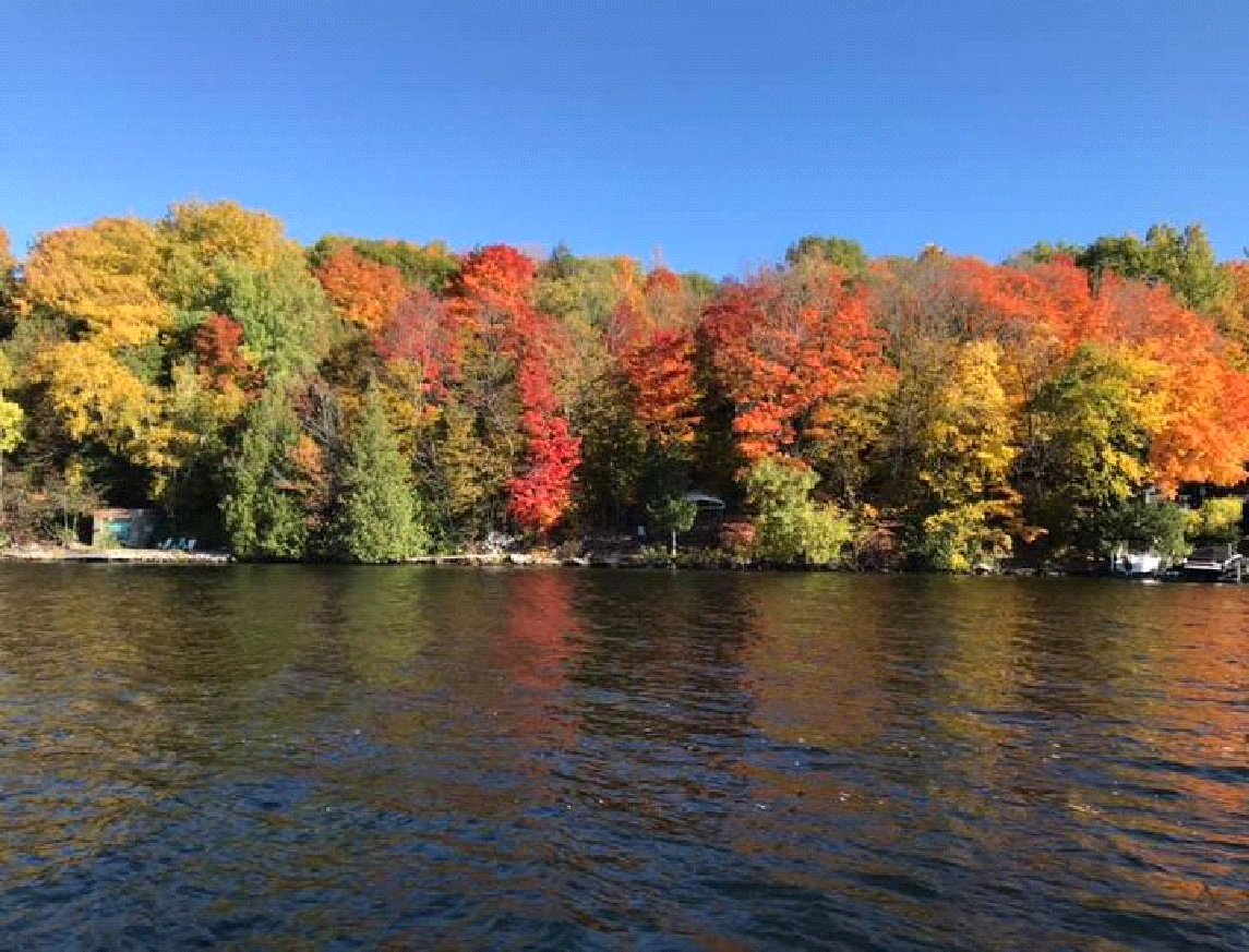 A lake surrounded by trees with colorful leaves on a sunny day.