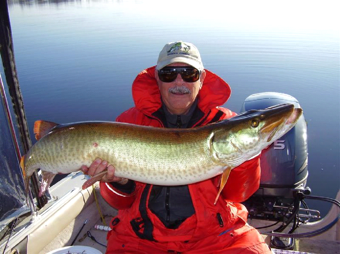 A man is sitting on a boat holding a large fish.
