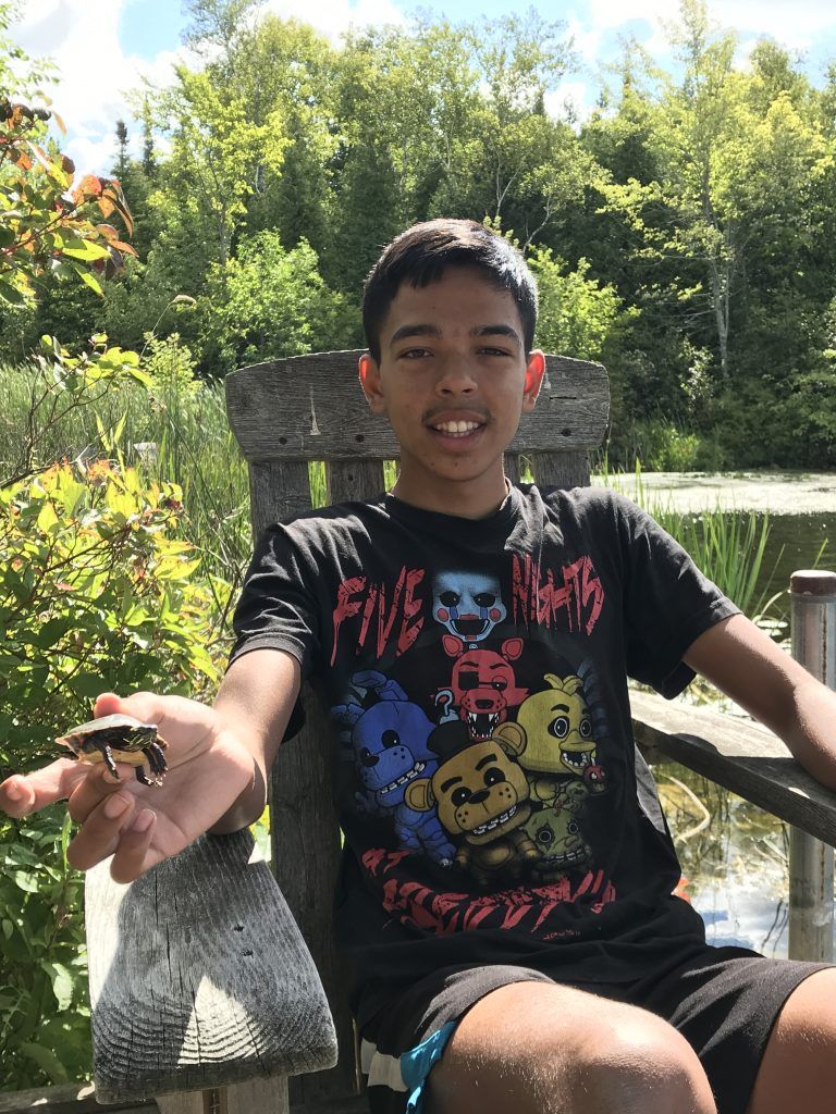 A young boy sitting in a chair holding a turtle.