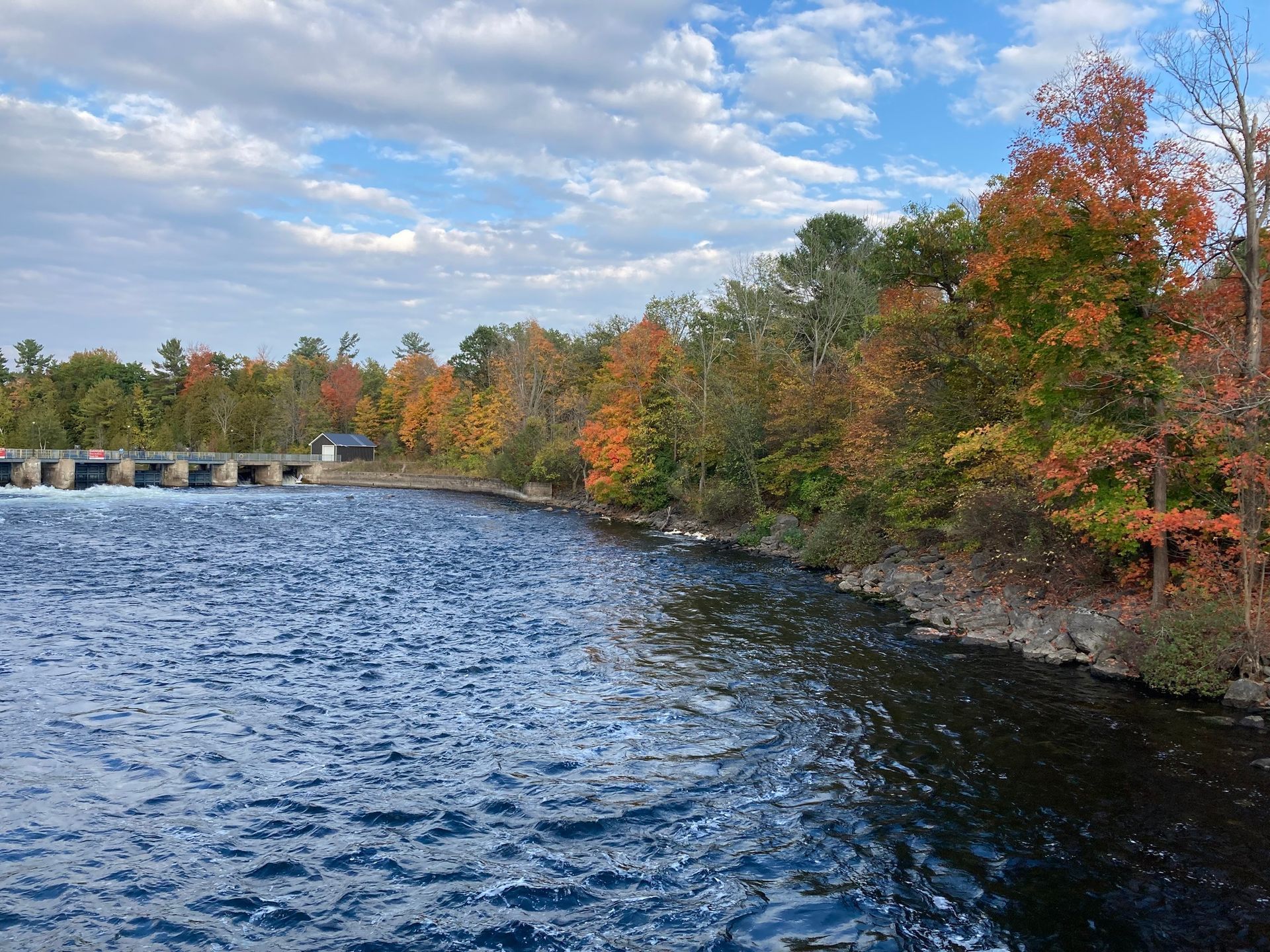 A large body of water surrounded by trees and a bridge.