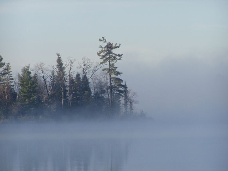 A foggy lake with trees on a small island in the middle.