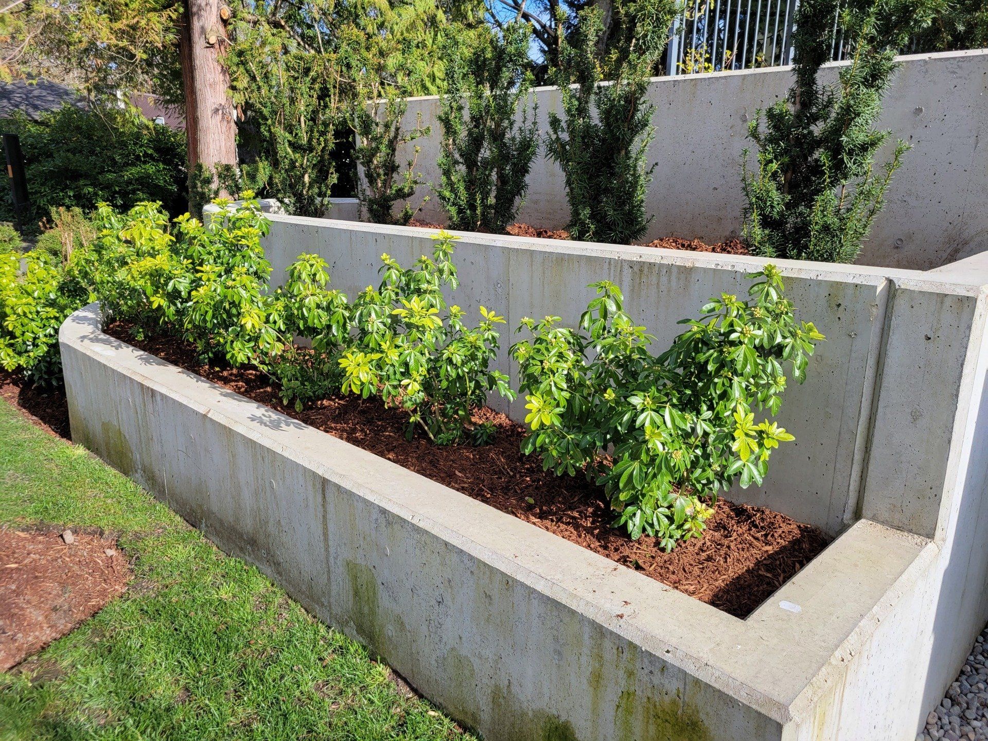 Poured Concrete Planters